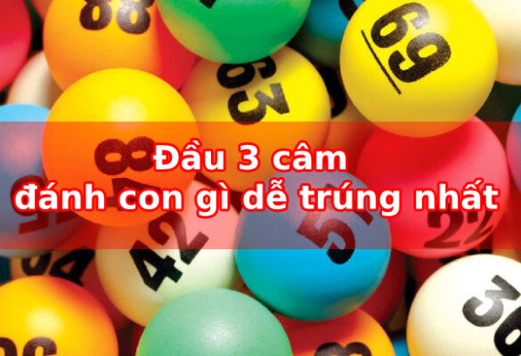 Câm đầu 3 đánh con gì may mắn - Bí kíp đánh đề đầu lô câm 