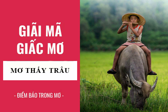 Cách giải đáp giấc mơ với sổ mơ lô đề 