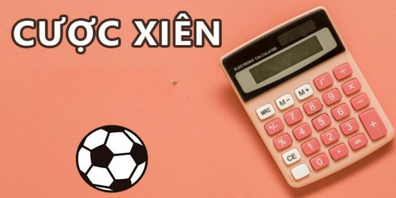 Ưu nhược điểm của cược xiên được chỉ ra bởi các chuyên gia